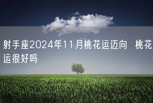 射手座2024年11月桃花运迈向  桃花运很好吗(图1)