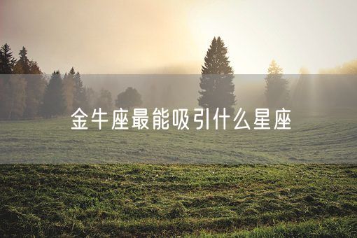 金牛座最能吸引什么星座(图1) 金牛座最能吸引什么星座(图1)