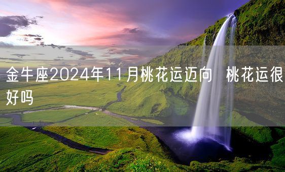 金牛座2024年11月桃花运迈向 桃花运很好吗(图1) 金牛座2024年11月桃花运迈向 桃花运很好吗(图1)