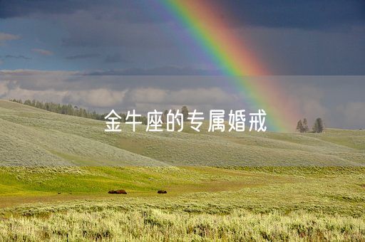 金牛座的专属婚戒(图1) 金牛座的专属婚戒(图1)