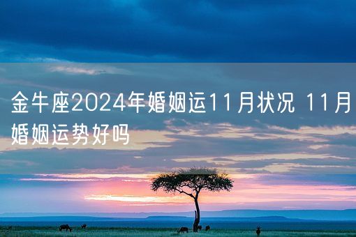 金牛座2024年婚姻运11月状况 11月婚姻运势好吗(图1) 金牛座2024年婚姻运11月状况 11月婚姻运势好吗(图1)