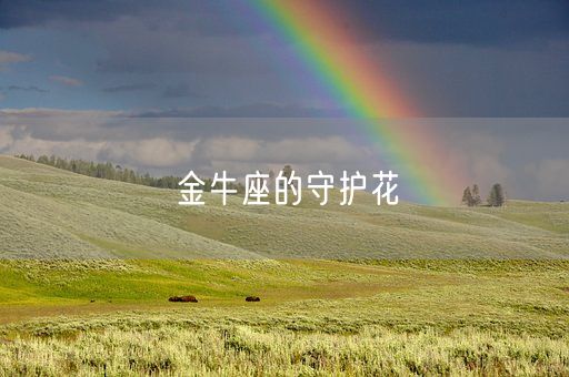 金牛座的守护花(图1) 金牛座的守护花(图1)