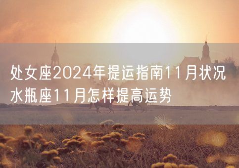 处女座2024年提运指南11月状况 水瓶座11月怎样提高运势(图1)