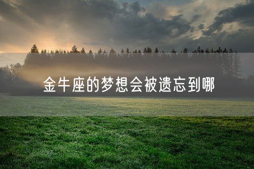 金牛座的梦想会被遗忘到哪(图1) 金牛座的梦想会被遗忘到哪(图1)