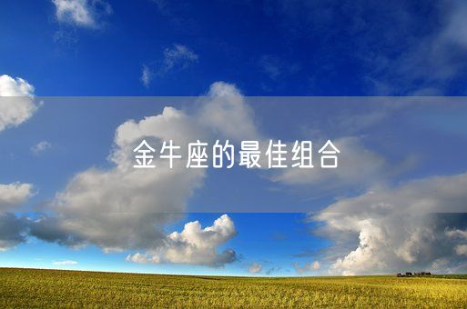 金牛座的最佳组合(图1) 金牛座的最佳组合(图1)