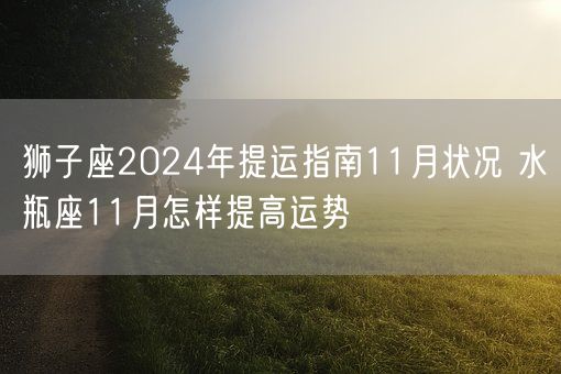 狮子座2024年提运指南11月状况 水瓶座11月怎样提高运势(图1)