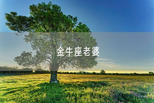 金牛座老婆(图1) 金牛座老婆(图1)