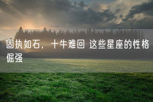 固执如石,十牛难回 这些星座的性格倔强(图1) 固执如石,十牛难回 这些星座的性格倔强(图1)