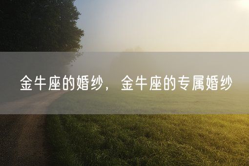 金牛座的婚纱,金牛座的专属婚纱(图1) 金牛座的婚纱,金牛座的专属婚纱(图1)