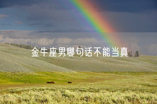 金牛座男哪句话不能当真(图1) 金牛座男哪句话不能当真(图1)