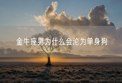 金牛座男为什么会沦为单身狗(图1) 金牛座男为什么会沦为单身狗(图1)