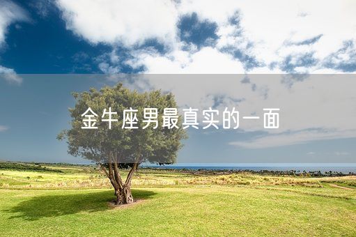 金牛座男最真实的一面(图1) 金牛座男最真实的一面(图1)