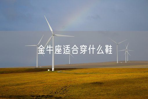 金牛座适合穿什么鞋(图1) 金牛座适合穿什么鞋(图1)