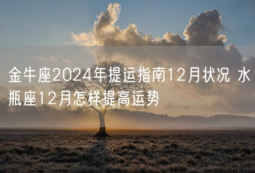 金牛座2024年提运指南12月状况 水瓶座12月怎样提高运势(图1) 金牛座2024年提运指南12月状况 水瓶座12月怎样提高运势(图1)