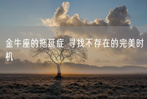 金牛座的拖延症 寻找不存在的完美时机(图1)