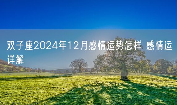 双子座2024年12月感情运势怎样 感情运详解(图1)