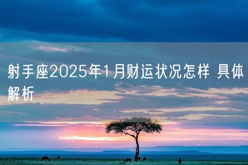射手座2025年1月财运状况怎样 具体解析(图1)