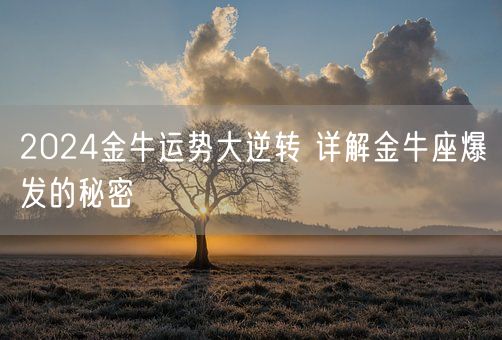 2024金牛运势大逆转 详解金牛座爆发的秘密(图1) 2024金牛运势大逆转 详解金牛座爆发的秘密(图1)