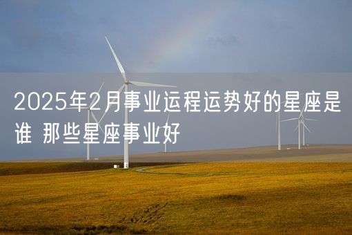 2025年2月事业运程运势好的星座是谁 那些星座事业好(图1)