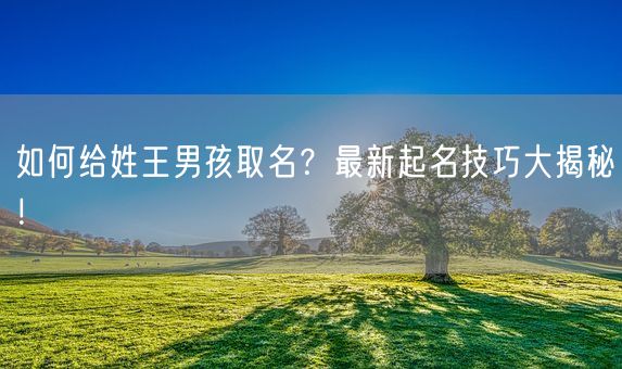 如何给姓王男孩取名？最新起名技巧大揭秘！(图1)
