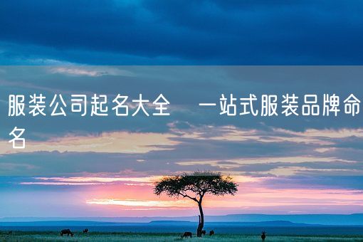 服装公司起名大全   一站式服装品牌命名(图1)