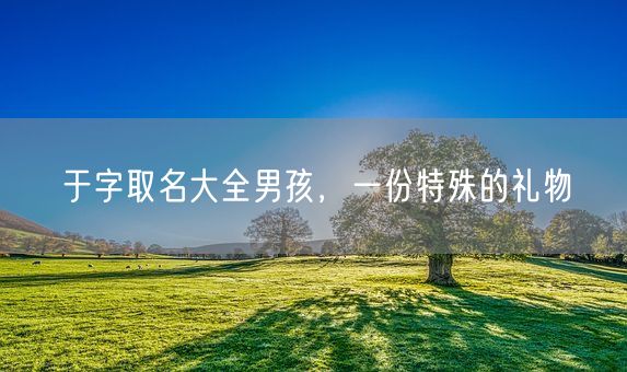 于字取名大全男孩，一份特殊的礼物(图1)