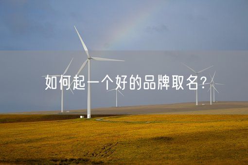 如何起一个好的品牌取名？(图1)