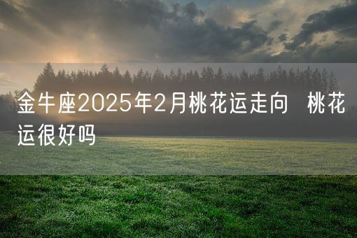金牛座2025年2月桃花运走向  桃花运很好吗(图1)