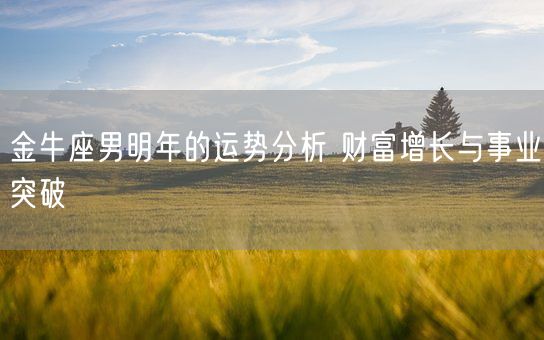 金牛座男明年的运势分析 财富增长与事业突破(图1) 金牛座男明年的运势分析 财富增长与事业突破(图1)