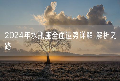 2024年水瓶座全面运势详解 解析之路(图1)