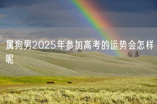 属狗男2025年参加高考的运势会怎样呢(图1) 属狗男2025年参加高考的运势会怎样呢(图1)