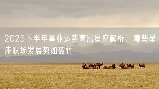2025下半年事业运势高涨星座解析，哪些星座职场发展势如破竹(图1)