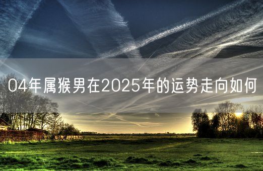 04年属猴男在2025年的运势走向如何(图1)