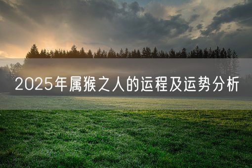 2025年属猴之人的运程及运势分析(图1)