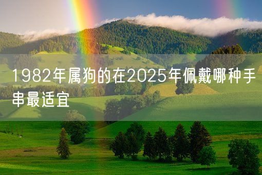 1982年属狗的在2025年佩戴哪种手串最适宜(图1)