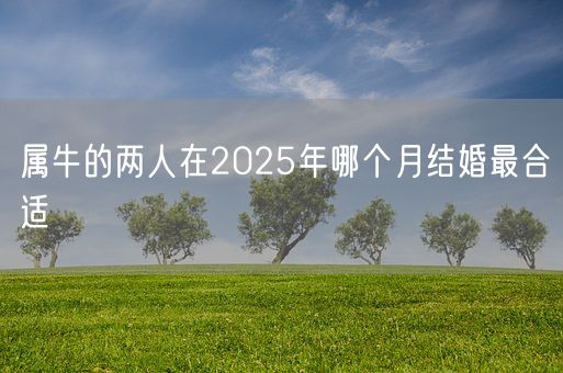 属牛的两人在2025年哪个月结婚最合适(图1)