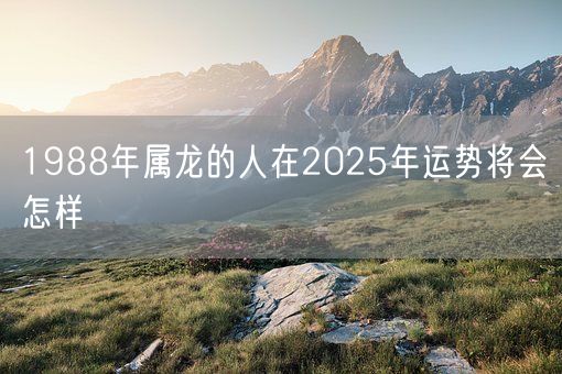 1988年属龙的人在2025年运势将会怎样(图1)