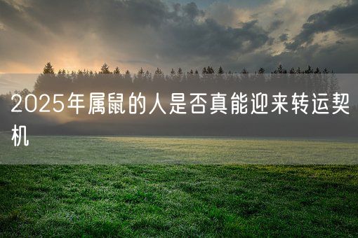 2025年属鼠的人是否真能迎来转运契机(图1)