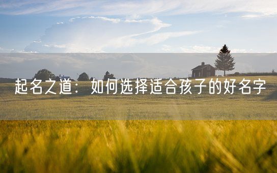 起名之道:如何选择适合孩子的好名字(图1) 起名之道:如何选择适合孩子的好名字(图1)