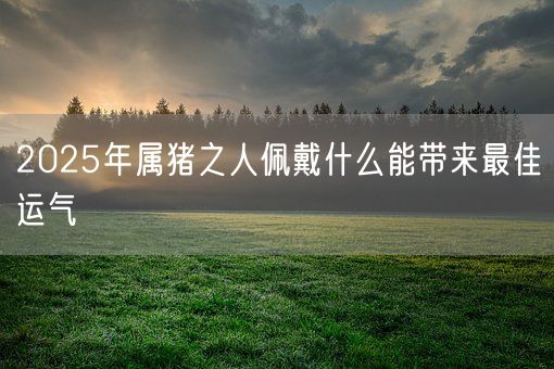 2025年属猪之人佩戴什么能带来最佳运气(图1)