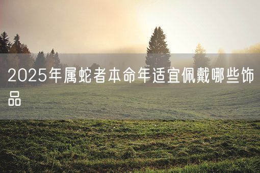 2025年属蛇者本命年适宜佩戴哪些饰品(图1)