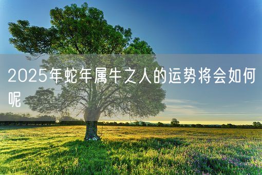 2025年蛇年属牛之人的运势将会如何呢(图1)