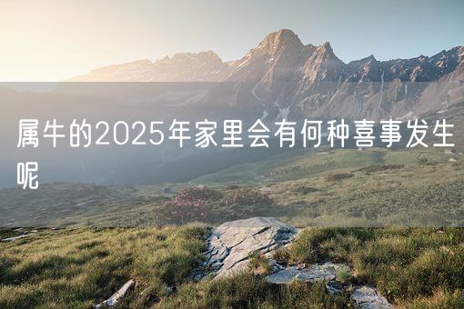 属牛的2025年家里会有何种喜事发生呢(图1)