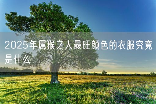 2025年属猴之人最旺颜色的衣服究竟是什么(图1)