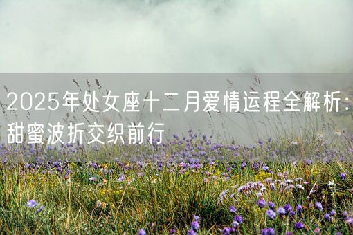 2025年处女座十二月爱情运程全解析：甜蜜波折交织前行(图1)