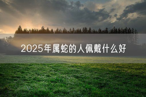 2025年属蛇的人佩戴什么好(图1)