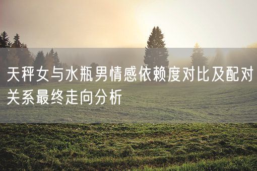 天秤女与水瓶男情感依赖度对比及配对关系最终走向分析(图1)