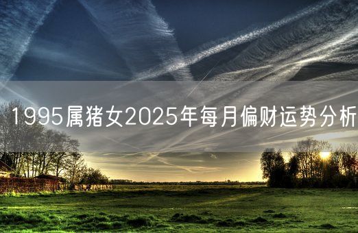 1995属猪女2025年每月偏财运势分析(图1)