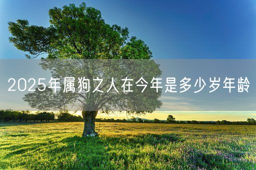 2025年属狗之人在今年是多少岁年龄(图1)