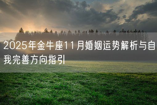 2025年金牛座11月婚姻运势解析与自我完善方向指引(图1) 2025年金牛座11月婚姻运势解析与自我完善方向指引(图1)
